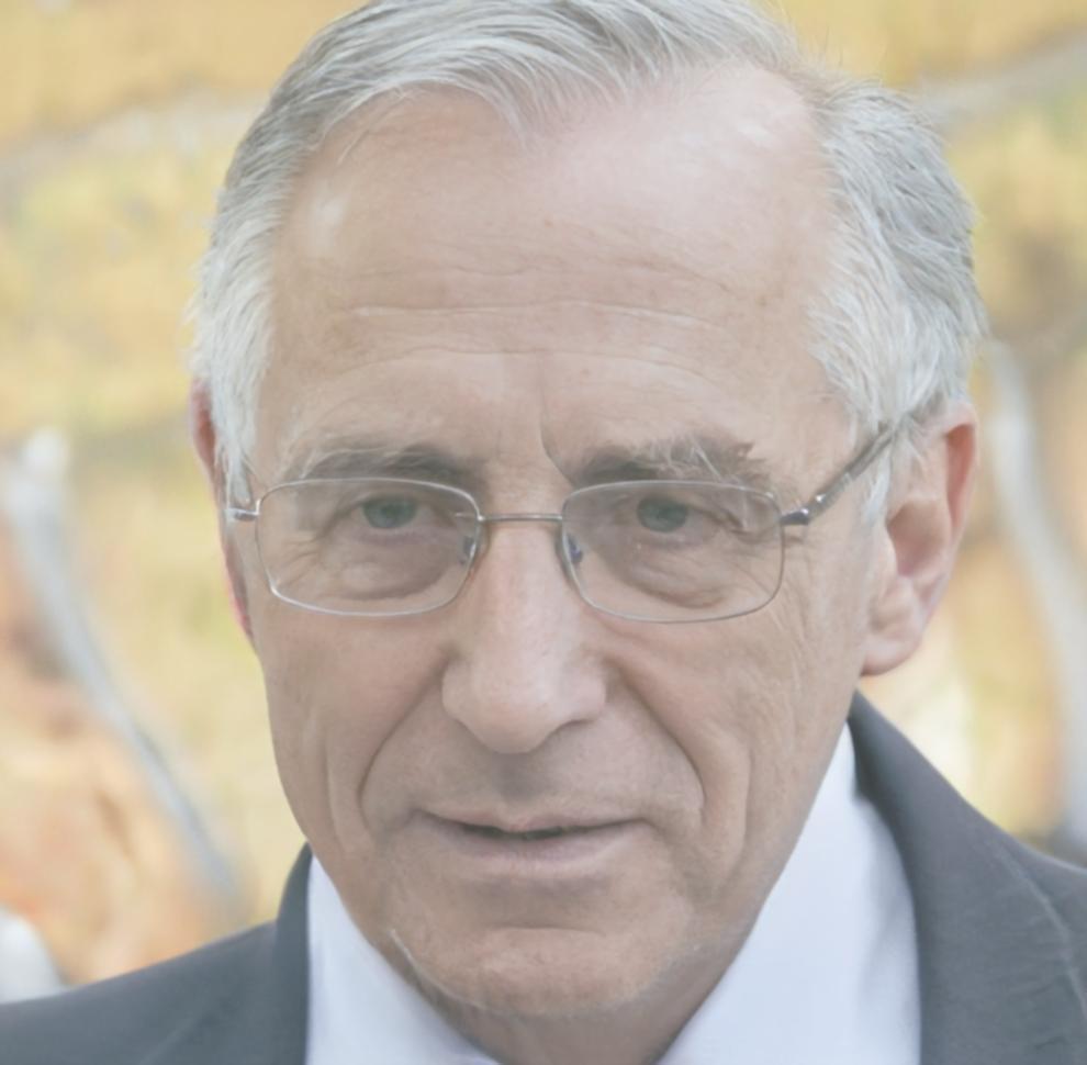 Retrato profesional de instructor de análisis financiero